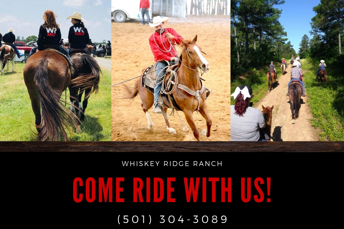 Come Ride With Us! 