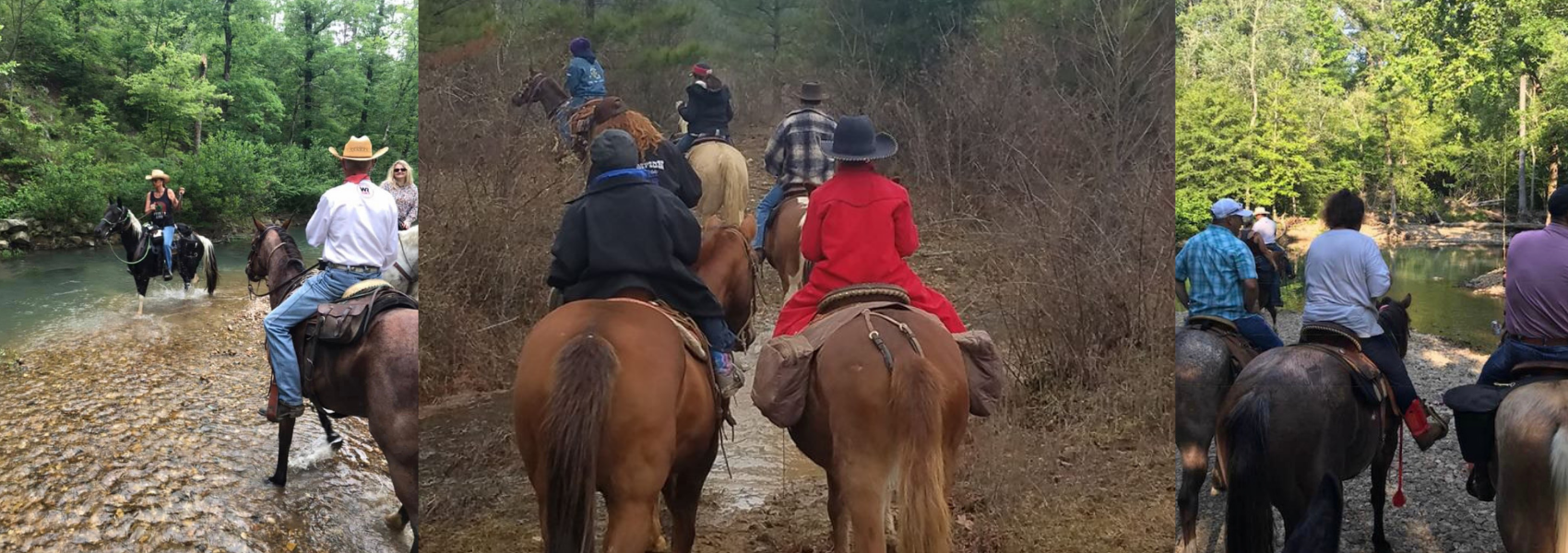 Trail rides